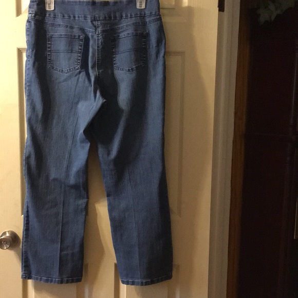 Westbound woman’s stretchy jeans sz 16 regular - Picture 3 of 9